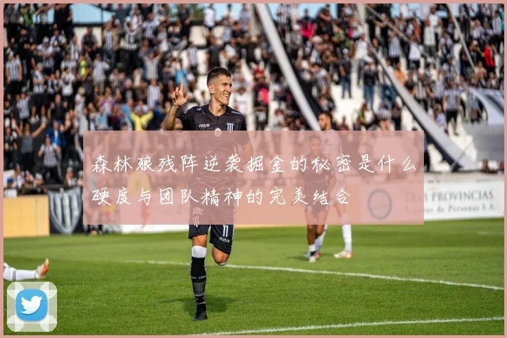 森林狼残阵逆袭掘金的秘密是什么硬度与团队精神的完美结合